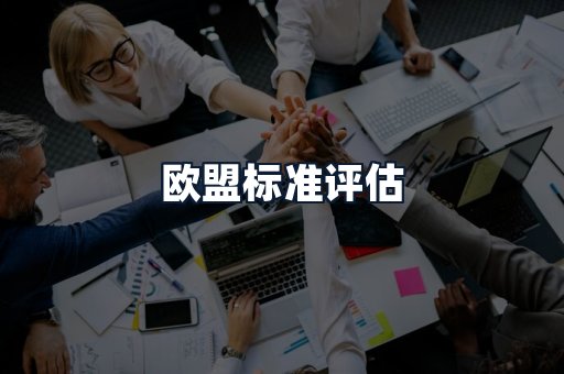 欧盟标准评估